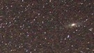 Milchstraße und Sternbild Perseus vor der Friedenseiche bei Hofgeismar/ Hombressen. | Bild: Johann Spuling