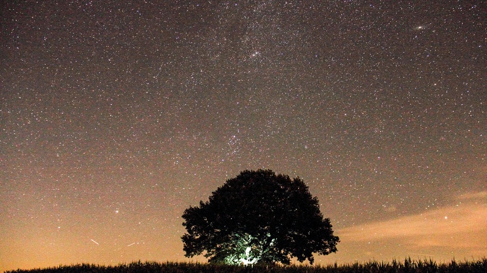 Milchstraße und Sternbild Perseus vor der Friedenseiche bei Hofgeismar/ Hombressen. | Bild: Johann Spuling