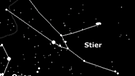 Sternkarte für den Dezemberhimmmel | Bild: BR, erstellt mit Skyobserver