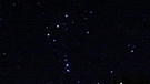 Sternbild Orion über einem Hausdach, aufgenommen am 8. Februar 2011 | Bild: Thomas Fischer