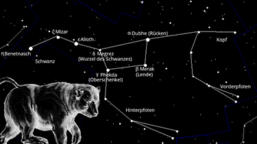 Sternkarte für das Sternbild Großer Bär (Ursa Maior, auch: Großer Wagen) mit seinen hellsten Sternen | Bild: BR, Skyobserver, NASA/U.S. Naval Observatory's Library