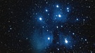 Die Plejaden (Siebengestirn), ein offener Sternhaufen im Sternbild Stier | Bild: Helmut Herbel