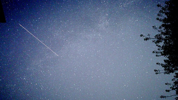 Eine Sternschnuppe der Perseiden, fotografiert 2021 von Sonja Hartmann | Bild: Sonja Hartmann