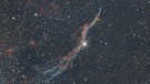 Der Sturmvogel ( NGC 6960 ) ist ein Teil des größeren Cirrus Nebels im Schwan - ein Überrest einer Super Nova Explosion.  | Bild: Alfred Falk