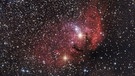 Der Tulpennebel im Sternbild Schwan, fotografiert von Stephanie Hüttner. Der Nebel ist etwa 8.000 Lichtjahre von uns entfernt und im Durchmesser rund 70 Lichtjahre groß.  | Bild: Stephanie Hüttner