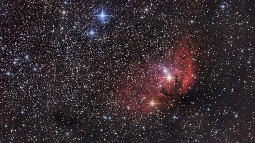 Der Tulpennebel im Sternbild Schwan, fotografiert von Stephanie Hüttner. Der Nebel ist etwa 8.000 Lichtjahre von uns entfernt und im Durchmesser rund 70 Lichtjahre groß.  | Bild: Stephanie Hüttner
