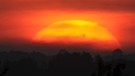 Venustransit bei Sonnenaufgang am 6. Juni 2012, aufgenommen in der Nähe von Oxbüll bei Flensburg | Bild: Wolfgang Volmer