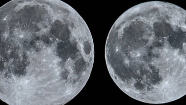 Collage des Vollmonds bei Erdnähe am 27. April 2021 (links) und Erdferne am 31. Oktober 2020 (rechts) nebeneinander. Ist der Mond an seinem entferntesten Punkt zur Erde (dem Apogäum, links), ist die Mondscheibe am Firmament etwa um ein Zehntel kleiner im Durchmesser als im Moment seines kleinsten Abstands zur Erde (dem Perigäum, rechts). Für die Fläche der Mondscheibe bedeutet das: Sie ist im Perigäum etwa zwanzig Prozent größer als im Apogäum - und entsprechend heller. Fotografiert jeweils von Ernst Schindler. | Bild: Ernst Schindler