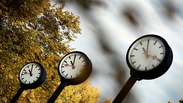 Uhren vor Bäumen im Herbst | Bild: picture-alliance/dpa