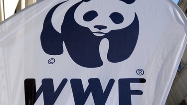 Das WWF-Logo ist auf einem Aufsteller zu sehen.   | Bild: dpa-Bildfunk/Jens Kalaene